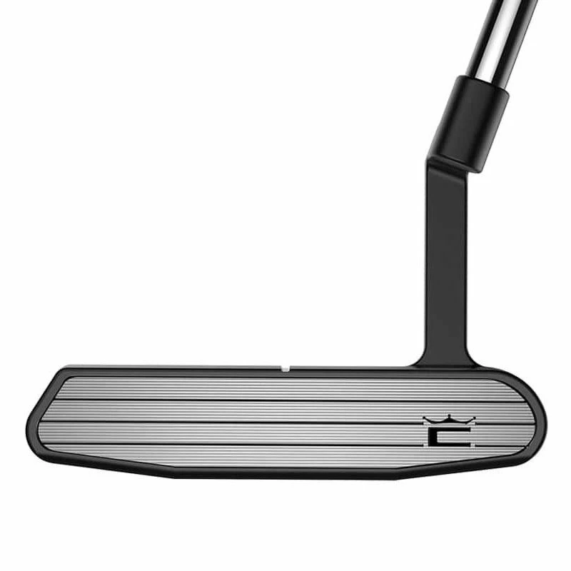 Cobra King 3D Printed Grandsport-35 Arm-Lock Putter - Image 5