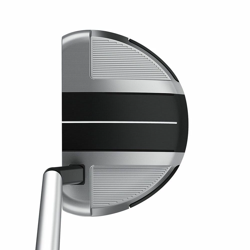 Taylormade Spider GT RollBack Silver/Black Putter